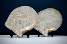 Load image into Gallery viewer, A pair of late Qing dynasty finely carved mother-of-pearl shells depicting a village scenes, circa 1880