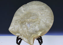 Load image into Gallery viewer, A pair of late Qing dynasty finely carved mother-of-pearl shells depicting a village scenes, circa 1880