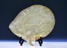 Load image into Gallery viewer, A pair of late Qing dynasty finely carved mother-of-pearl shells depicting a village scenes, circa 1880