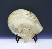 Load image into Gallery viewer, A pair of late Qing dynasty finely carved mother-of-pearl shells depicting a village scenes, circa 1880