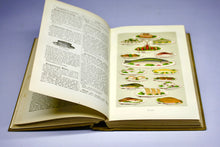 Load image into Gallery viewer, Mrs Beeton's All About Cookery Book 1905