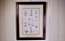 Load image into Gallery viewer, JOHN LIZARS (15 May 1792–21 May 1860) Book plate illustration of dissection of right testis