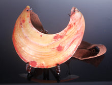 Load image into Gallery viewer, A Papua New Guinea Kina Shell breast plate