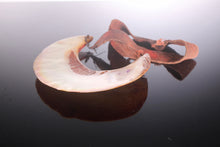 Load image into Gallery viewer, A Papua New Guinea Kina Shell breast plate