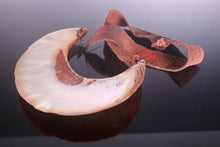 Load image into Gallery viewer, A Papua New Guinea Kina Shell breast plate