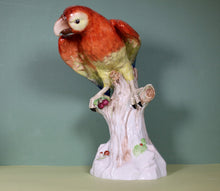 Load image into Gallery viewer, A Handsome Dresden Porcelain Macaw. Early 20th century
