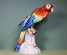 Load image into Gallery viewer, A Handsome Dresden Porcelain Macaw. Early 20th century
