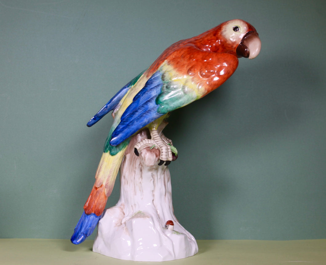 A Handsome Dresden Porcelain Macaw. Early 20th century