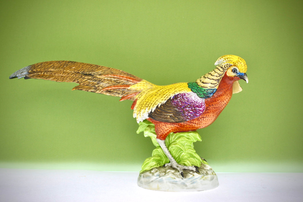 A Dresden Porcelain Pheasant Attributed to Carl Thieme