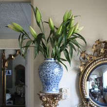 Load image into Gallery viewer, A Chinese blue and white 'Phoenix and Peony scroll' jar. Early 19th century
