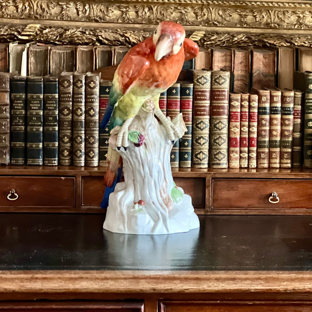 A Handsome Dresden Porcelain Macaw. Early 20th century