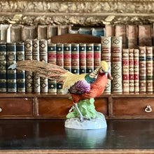 Load image into Gallery viewer, A Dresden Porcelain Pheasant Attributed to Carl Thieme
