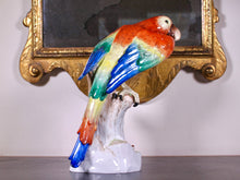 Load image into Gallery viewer, A Handsome Dresden Porcelain Macaw. Early 20th century
