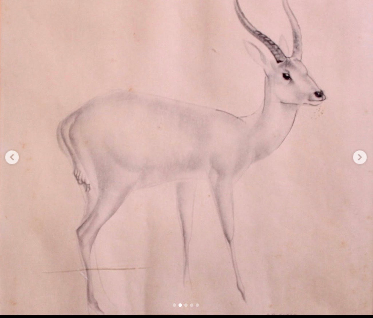 Clark Rattenbury John Rattenbury Skeaping, British (1901-1980) Framed pencil drawing ...